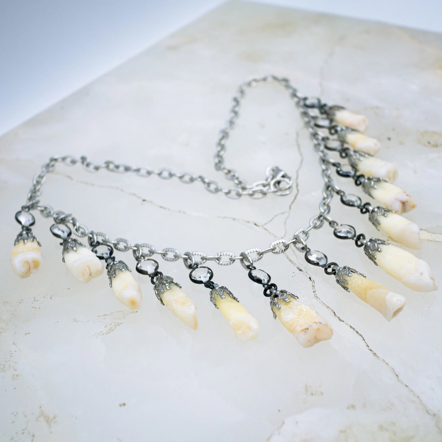 Human Tooth and Stone Necklace