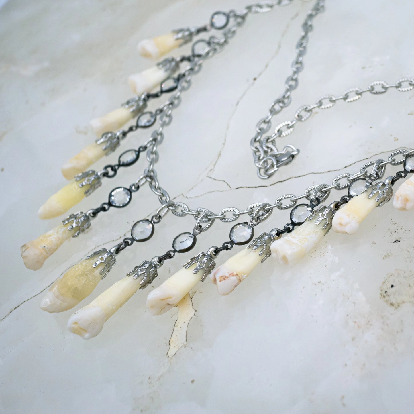 Human Tooth and Stone Necklace