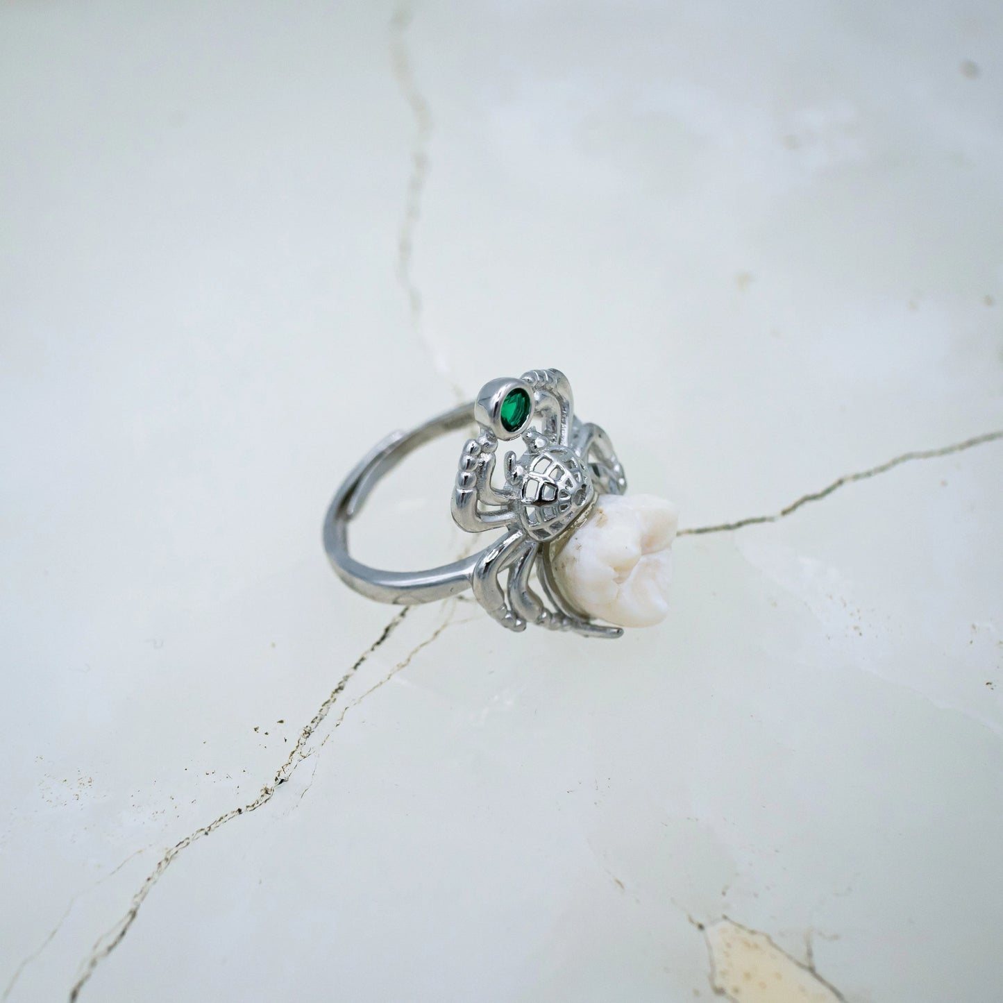 Human Molar Spider Ring