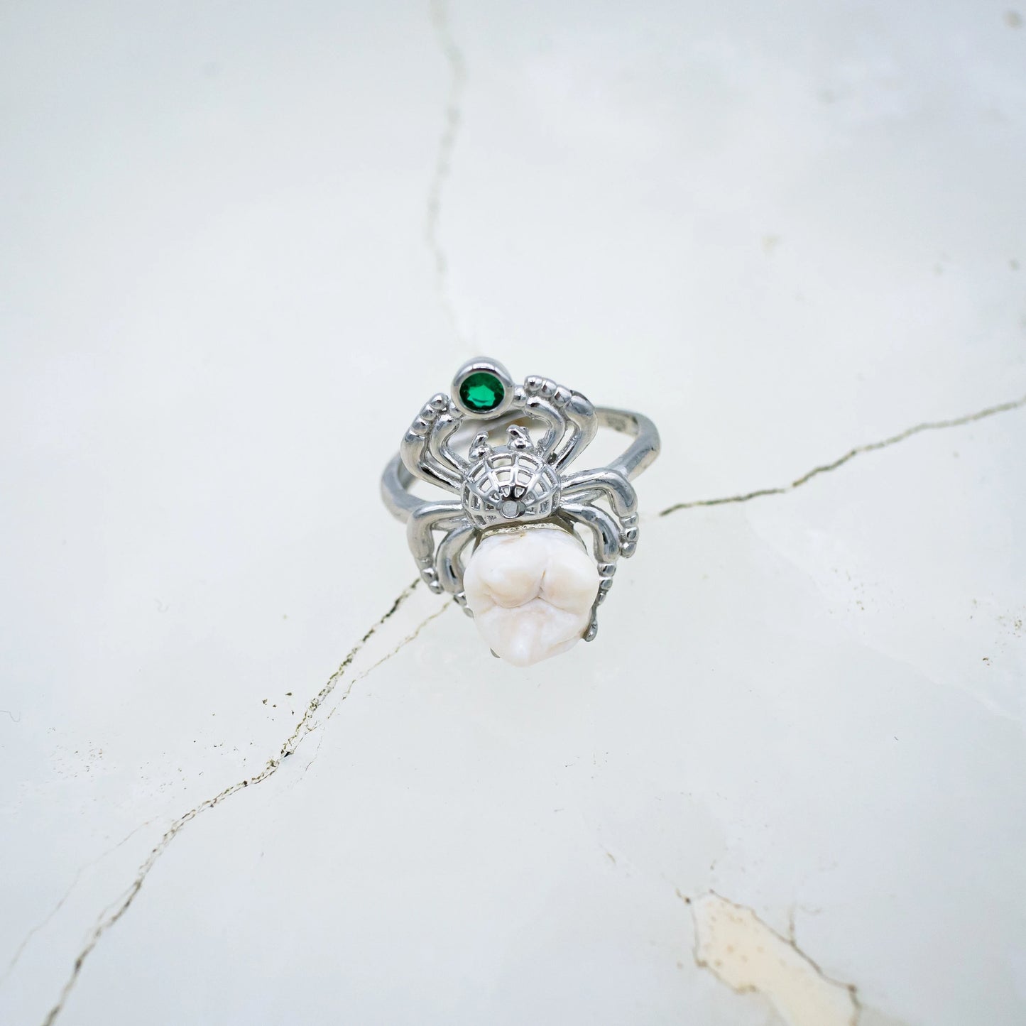 Human Molar Spider Ring