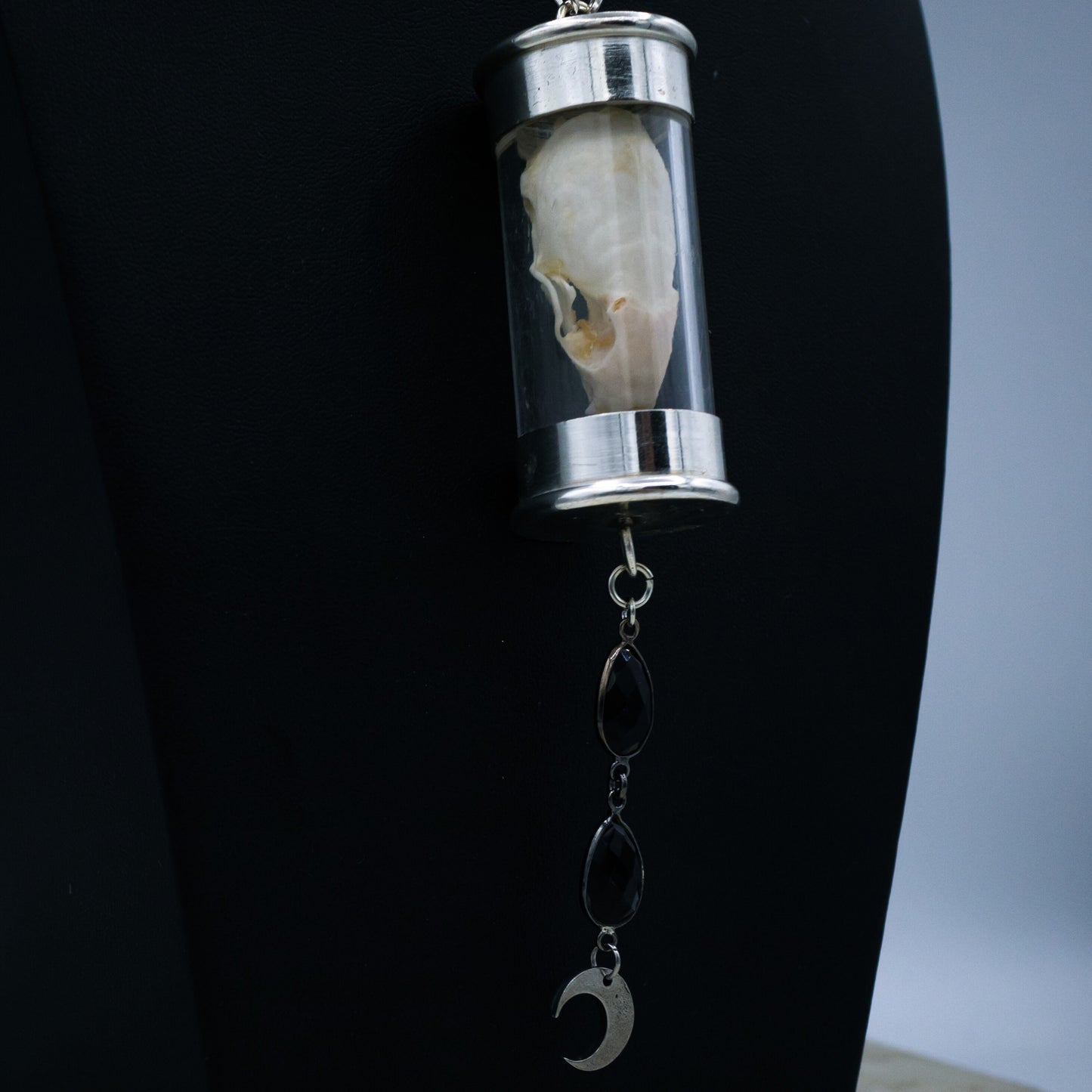 Weasel Skull Ossuary Necklace