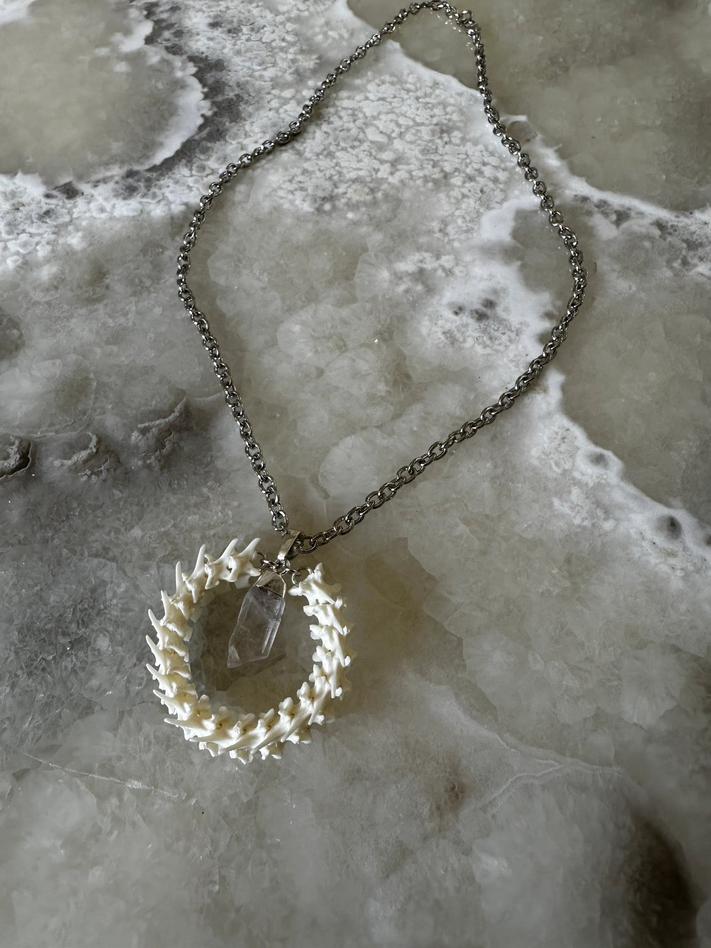Vertebrae Circle and Quartz Necklace