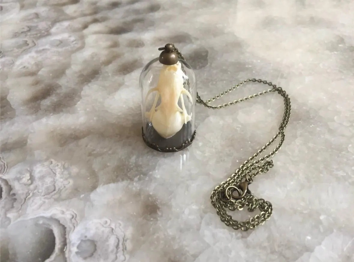 Bat skull Bell Jar Necklace