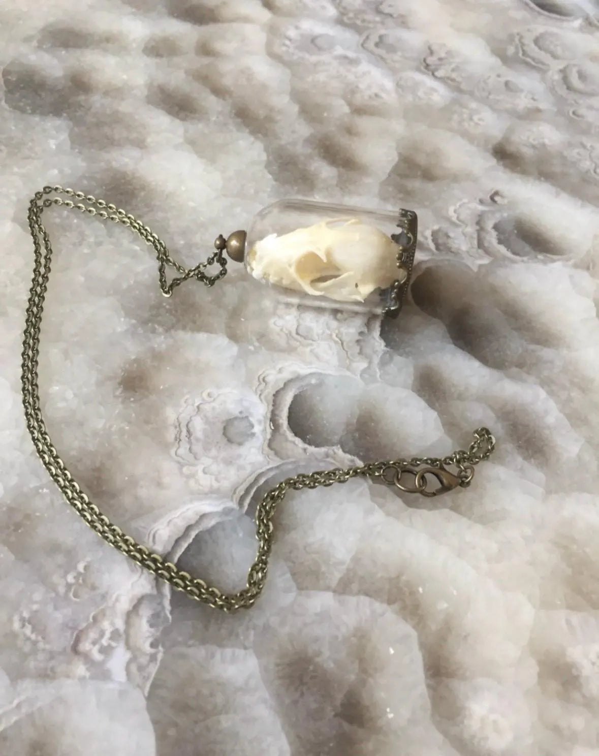 Bat skull Bell Jar Necklace