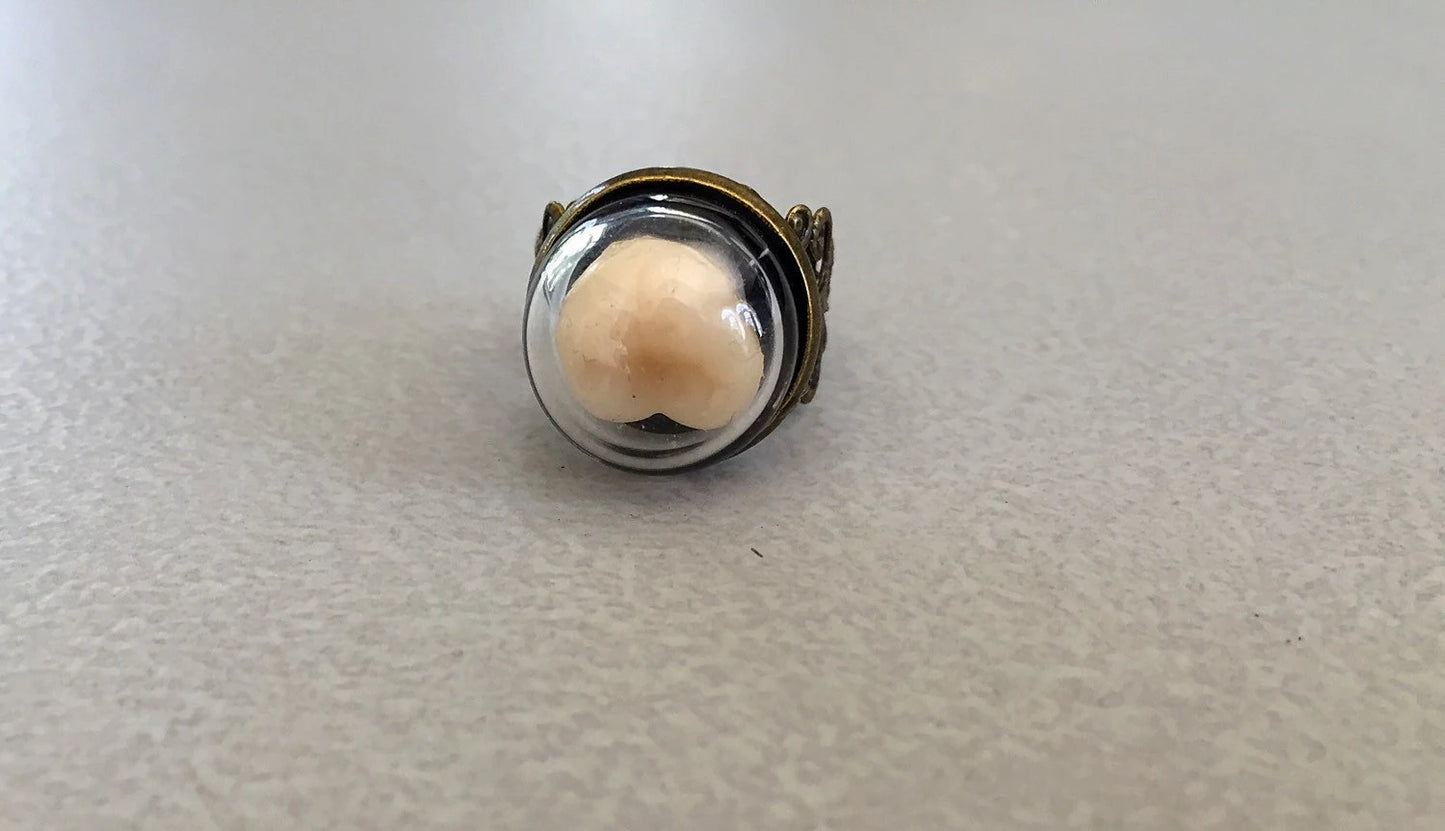Tooth Fairy's Curiosity Keepsake Ring