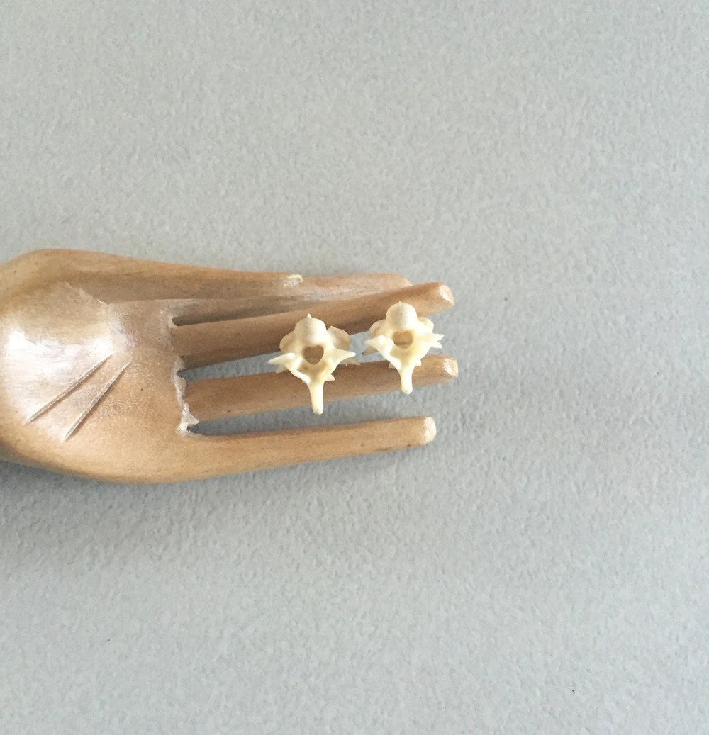 Boa Vertebrae stud earrings