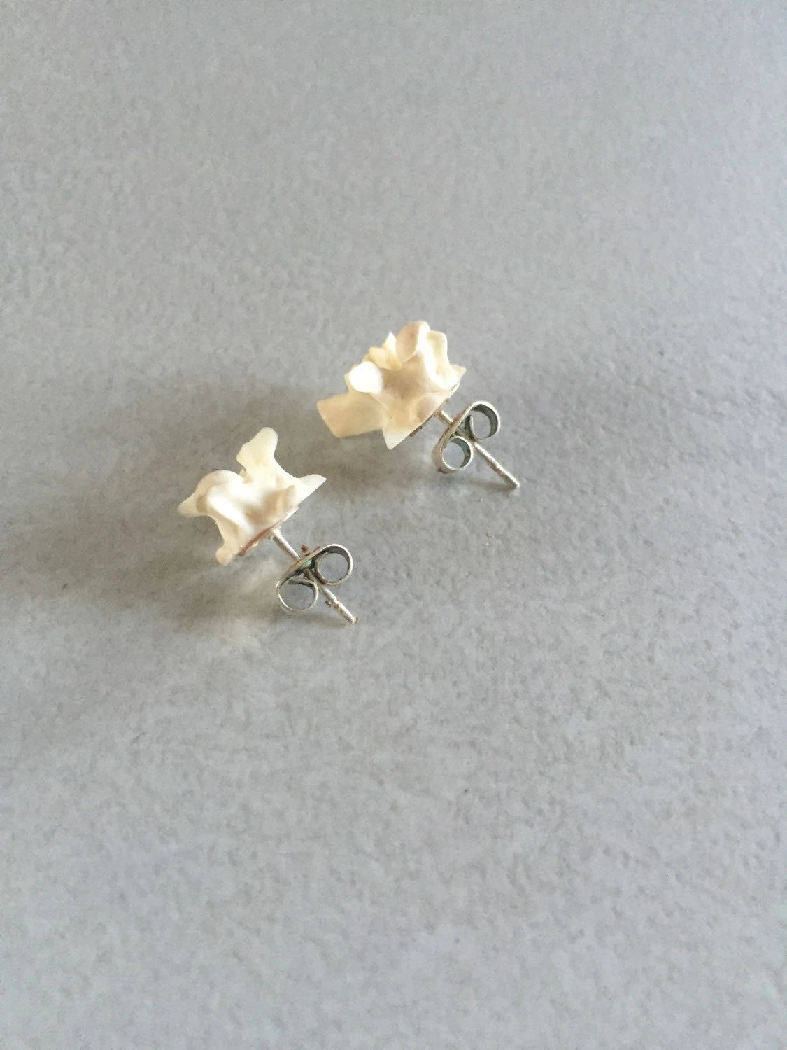 Boa Vertebrae stud earrings
