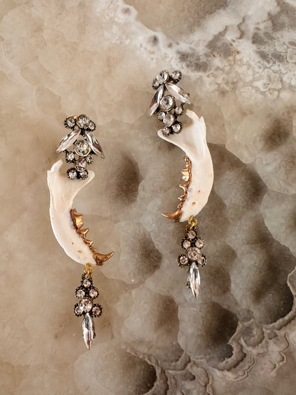 Elegant Jawbone Earrings
