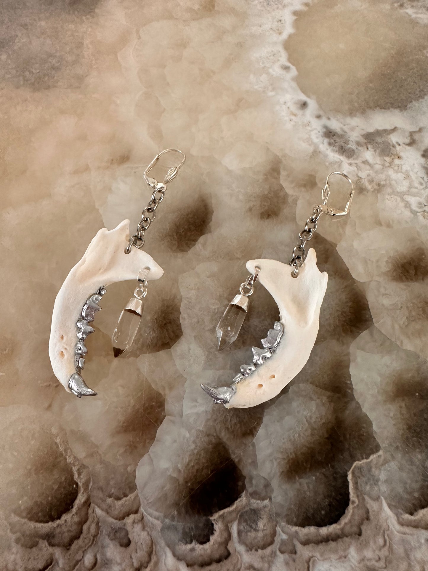 Crystal Jaw Earrings