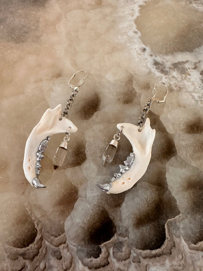 Crystal Jaw Earrings