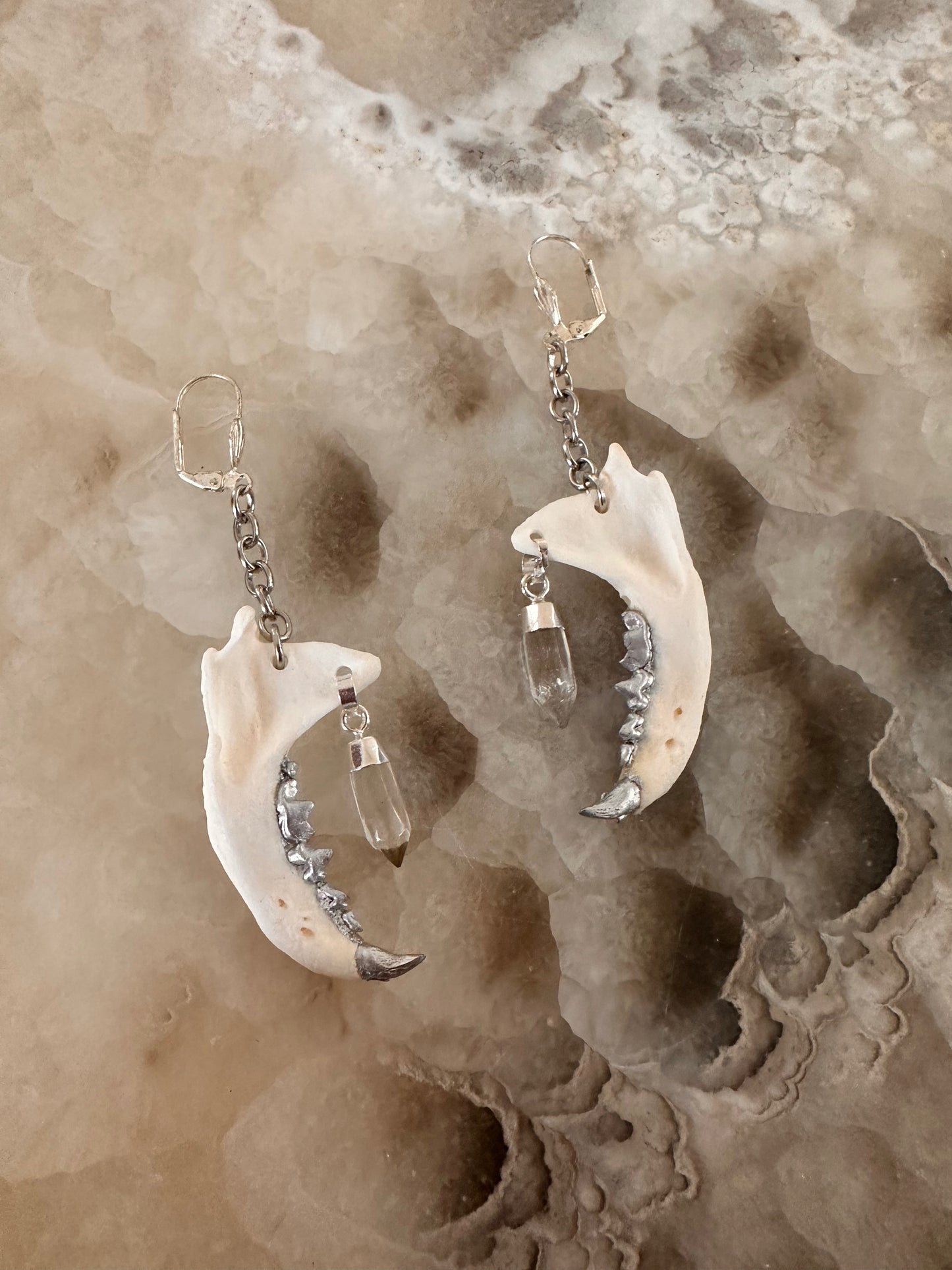Crystal Jaw Earrings