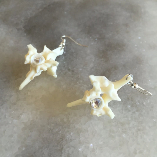 Vertebrae and Crystal Drop Earrings
