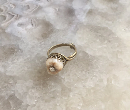 Human Tooth Bronze Ring