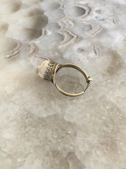 Human Tooth Bronze Ring