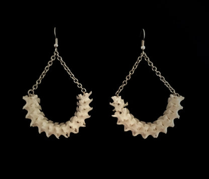 Crescent Moon Python Vertebrae Hoops