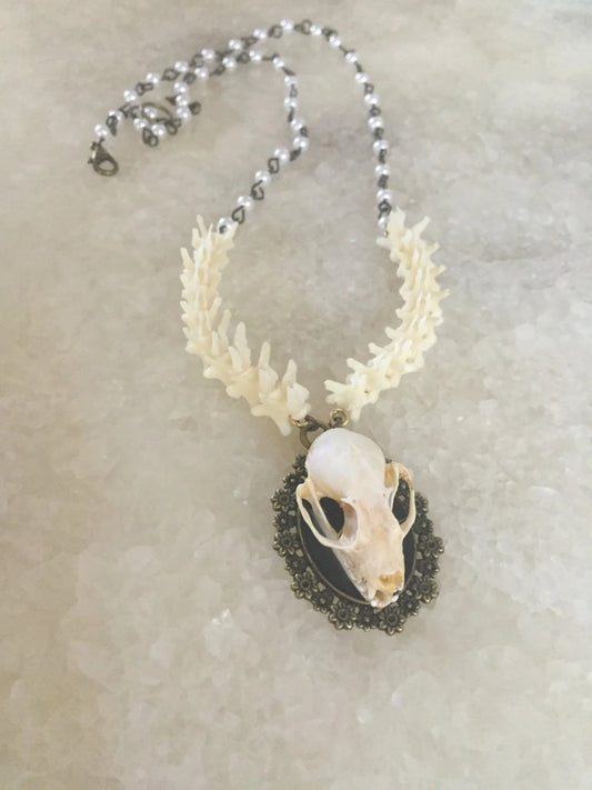 Bat Skull and Vertebrae Necklace