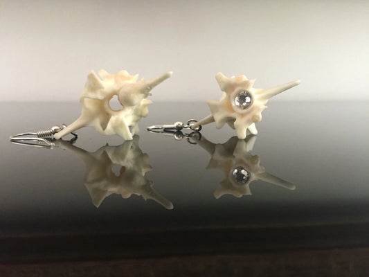 Vertebrae and Crystal Drop Earrings