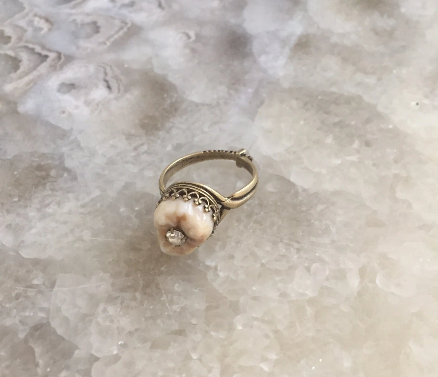 Human Tooth Bronze Ring