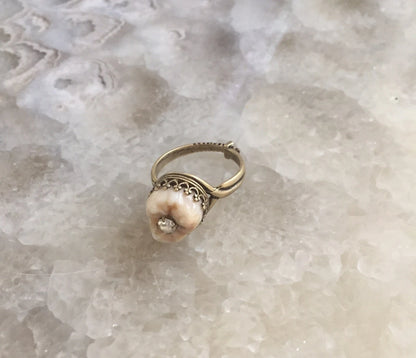 Human Tooth Bronze Ring