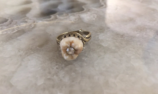 Human Tooth Bronze Ring