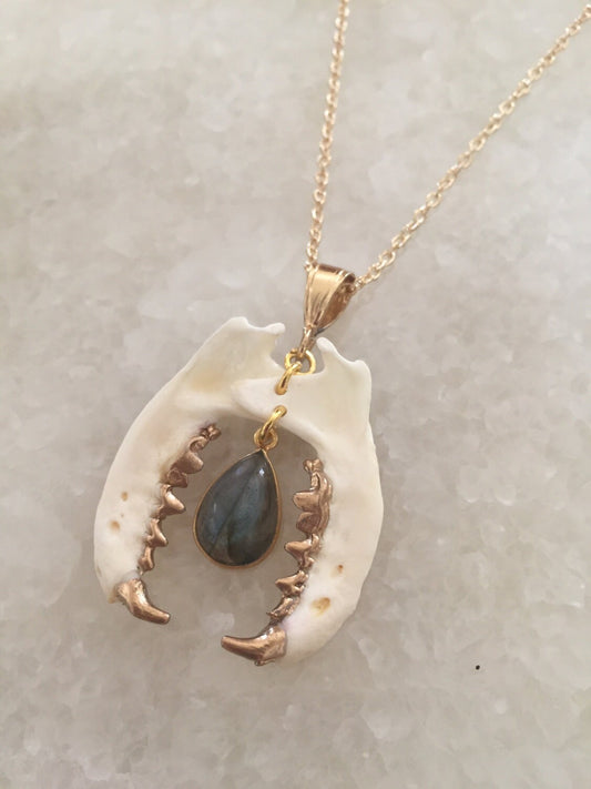 Labradorite Biting Mandible Necklace