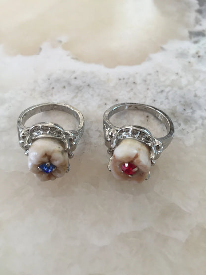 Birthstone Crystal Cavity Molar Ring