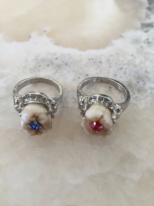Birthstone Crystal Cavity Molar Ring