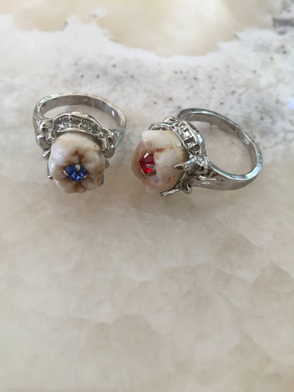 Birthstone Crystal Cavity Molar Ring
