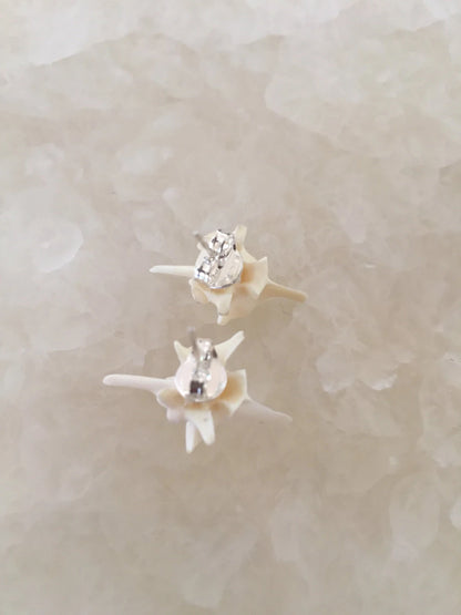 Boa Vertebrae stud earrings