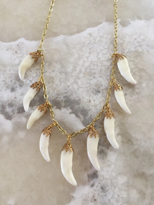 Coyote Tooth Charm Necklace