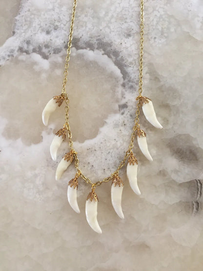 Coyote Tooth Charm Necklace