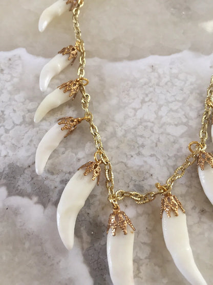 Coyote Tooth Charm Necklace
