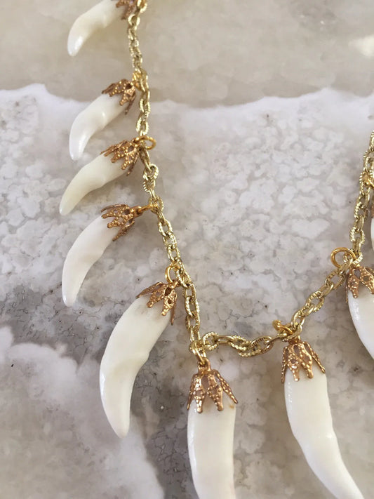 Coyote Tooth Charm Necklace