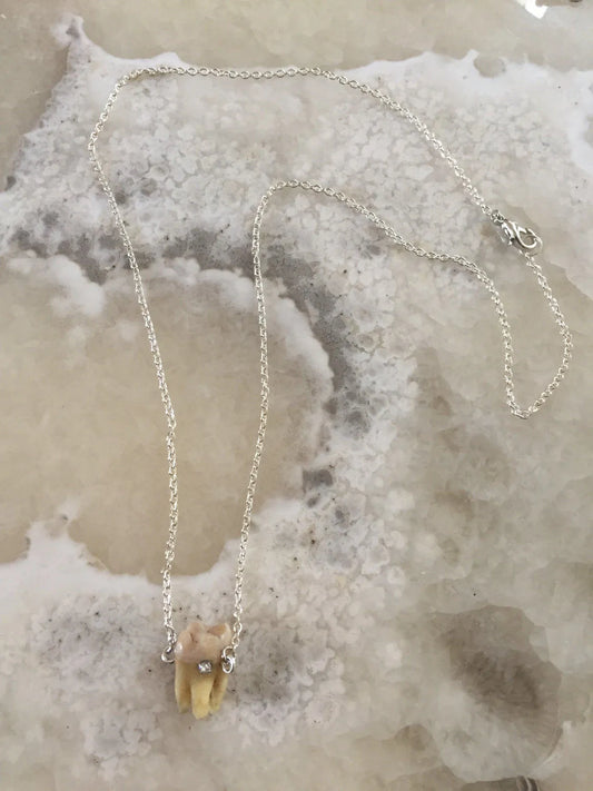 Crystal Cavity Sweet Tooth Necklace