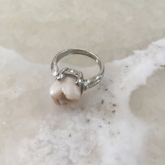 Genuine Human Molar Ring