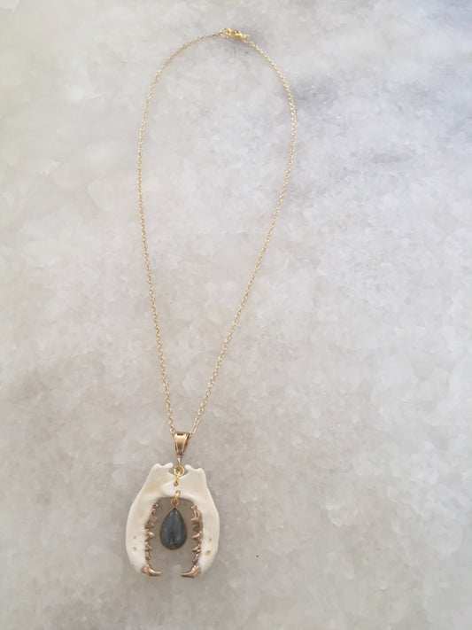 Labradorite Biting Mandible Necklace