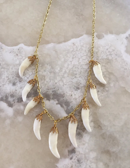 Coyote Tooth Charm Necklace
