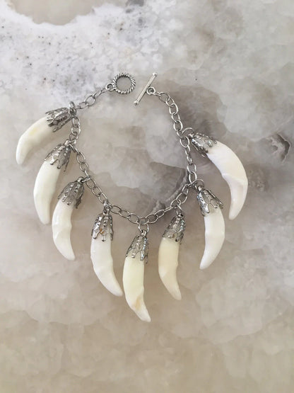Coyote Fang Charm Bracelet