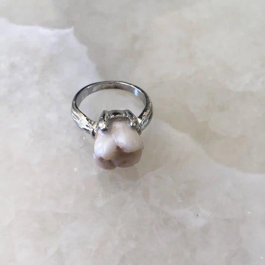Genuine Human Molar Ring