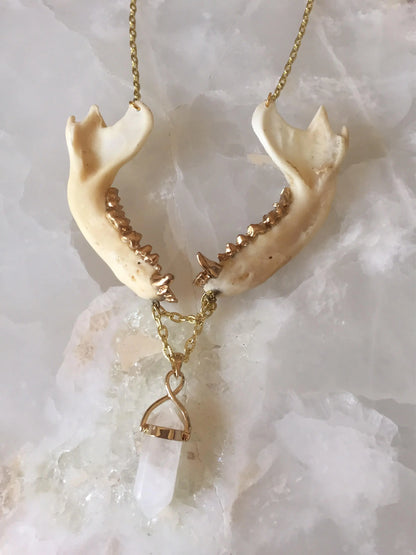 Double Jawbone and Crystal Necklace