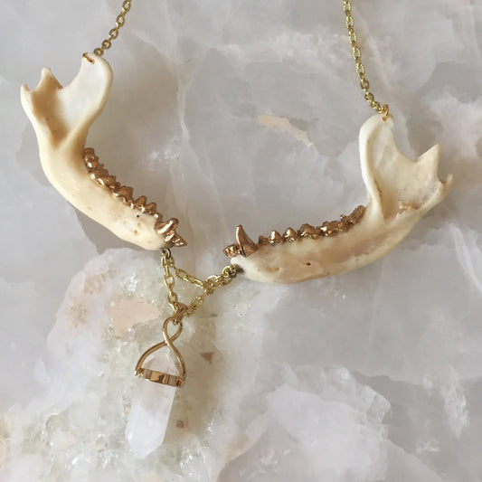 Double Jawbone and Crystal Necklace