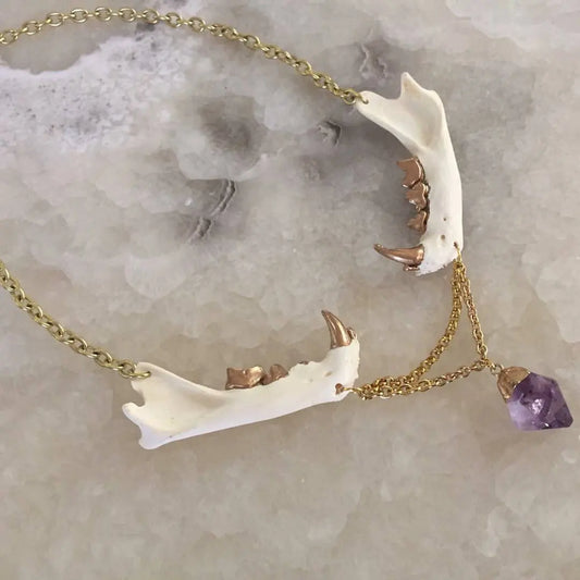 Mandible and Amethyst  Necklace