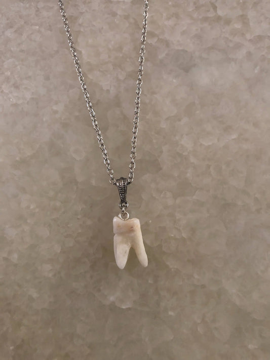 Human Molar Pendant Necklace