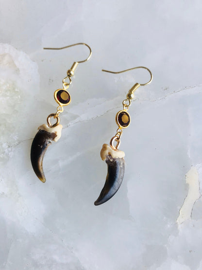Haunted Coyote Claw Dangle Earrings