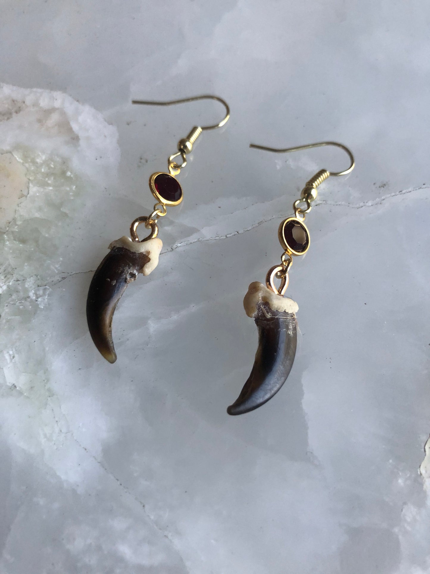 Haunted Coyote Claw Dangle Earrings