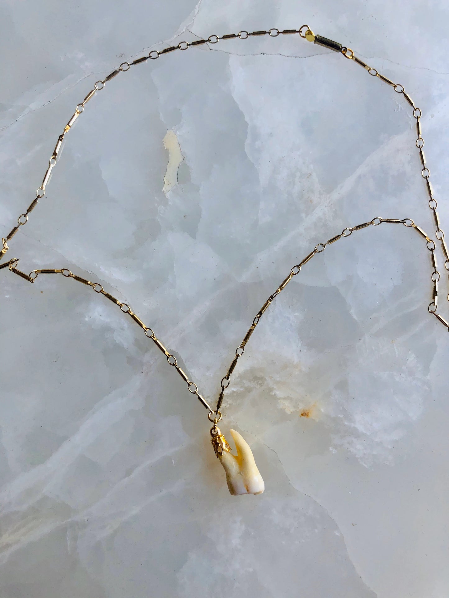 Memento Mori Molar Necklace
