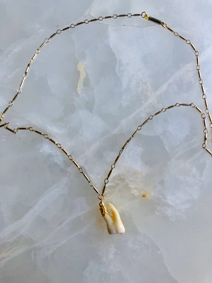 Memento Mori Molar Necklace