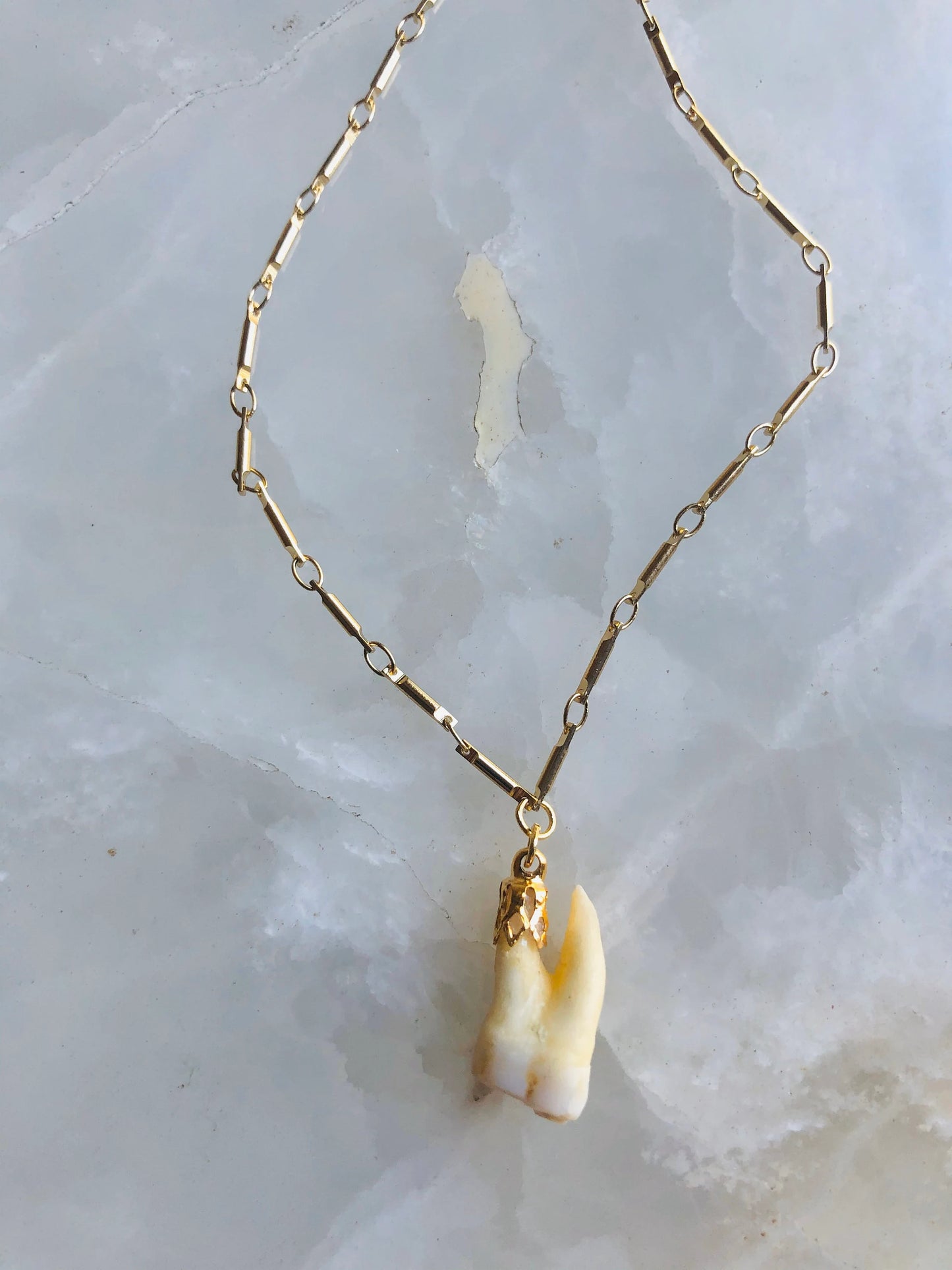 Memento Mori Molar Necklace