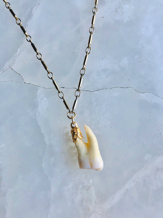 Memento Mori Molar Necklace