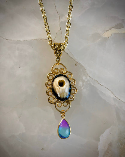 Weasel Snout Taxidermy Necklace